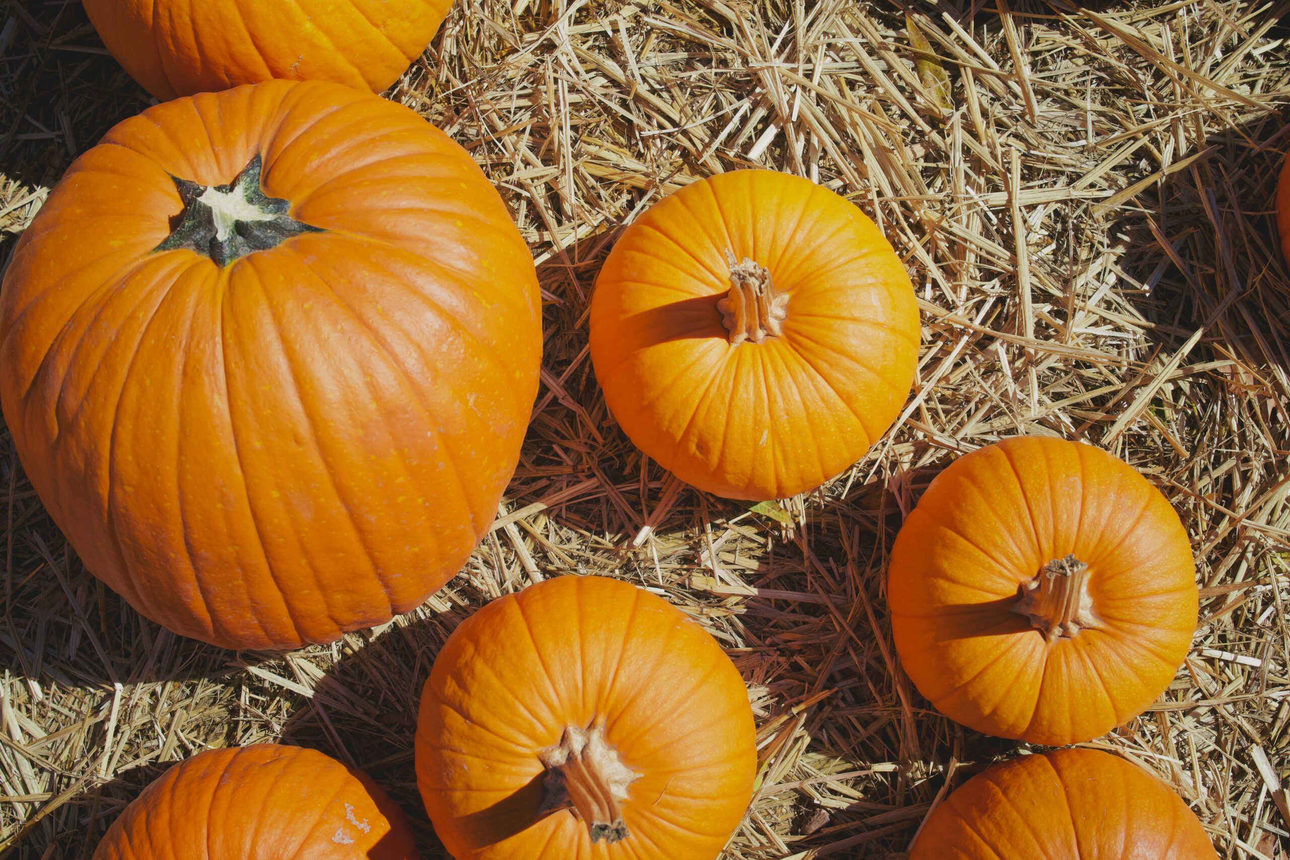 Many Thanks Make Movement to Mastery